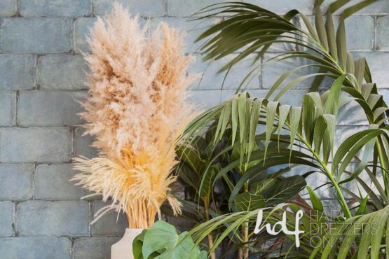 Plants and boho decor